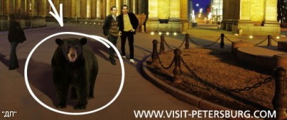 Туристы в Петербурге потеряются