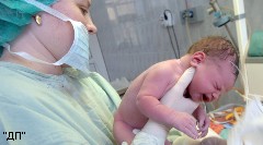 В Петербурге стали больше рожать и меньше умирать