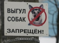 В Петербурге привязали всех собак