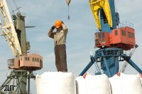 Петербургский порт потерял 17% грузов