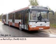Автобус ЛиАЗ-6213.