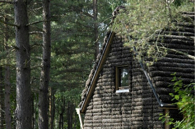 В Дании построили уникальный дом из водорослей - фото 1