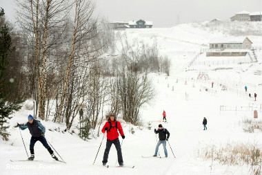 В Муринском парке Петербурга организуют лыжно-биатлонную трассу