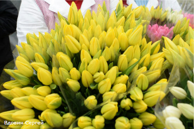 Россельхознадзор 24 августа обсудит с Литвой и Латвией поставки цветов из Нидерландов