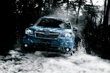 Subaru     Forester