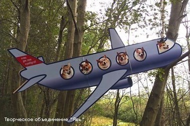 Самолет Шувалова 